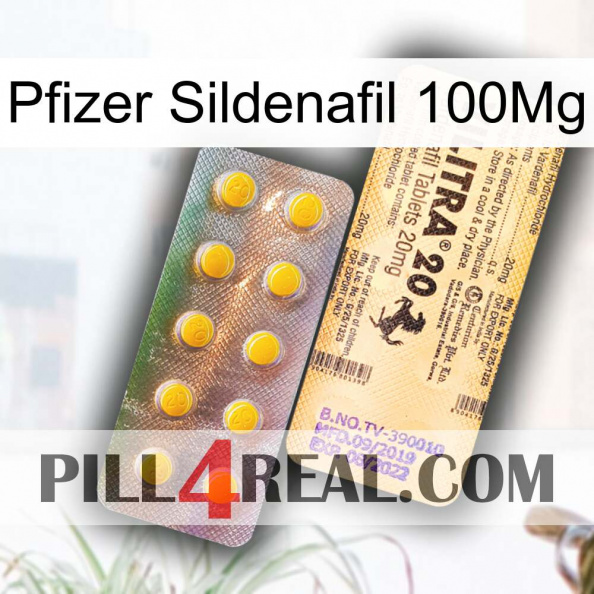 Pfizer Sildenafil 100Mg new06.jpg